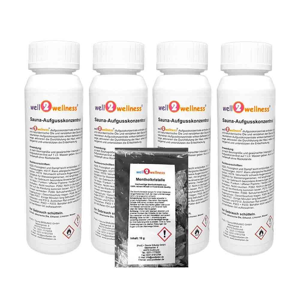 well2wellness® sauna infusion set 4 x 125 ml 'Classic 2' with eucalyptus, mountain pine, mint, Finnish winter + free 10g menthol crystals