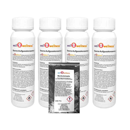 well2wellness® sauna infusion set 4 x 125 ml 'Classic 2' with eucalyptus, mountain pine, mint, Finnish winter + free 10g menthol crystals