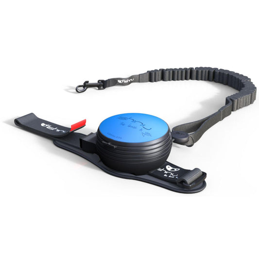 Lishinu3 Bungee with Full-Stop Blue L