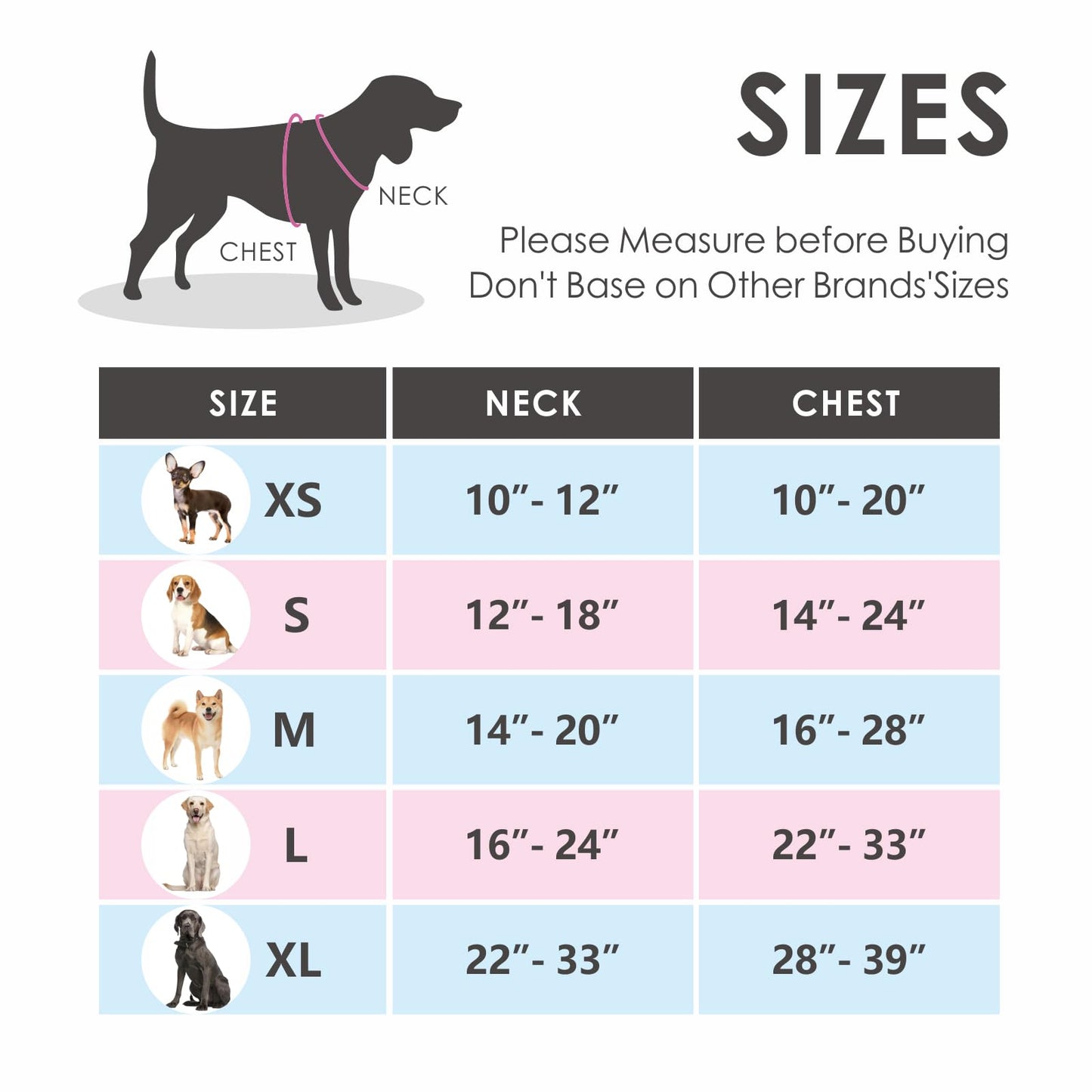 PHOEPET No Pull Dog Harness for Small Dogs, reflective, adjustable front clip vest with handle, 2 metal rings, 3 buckles [easy to put on and take off] (M, Purple)