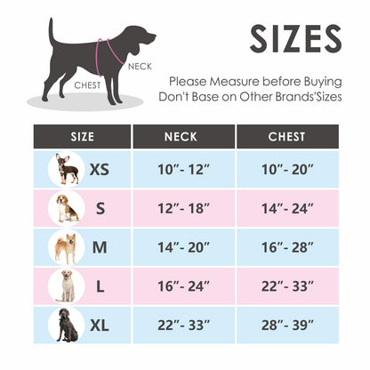 PHOEPET No Pull Dog Harness for Small Dogs, reflective, adjustable front clip vest with handle, 2 metal rings, 3 buckles [easy to put on and take off] (M, Purple)