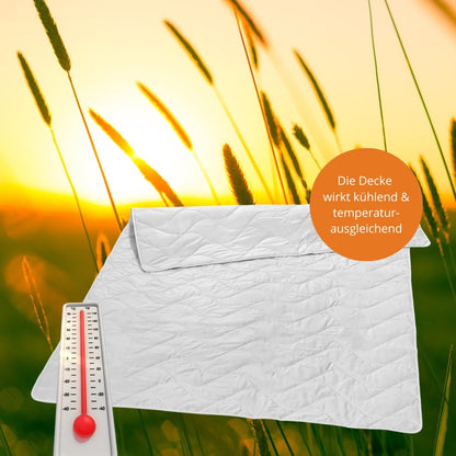 Summer blanket 200x220, wild silk blanket 200 x 220, light summer duvet, silk blanket with 100% wild silk, cover 100% cotton, Made in Germany, Ökotex, washable at 40 degrees.