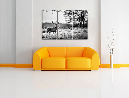 Pixxprint Deer in Sunset Canvas Print 3 Piece, Overall size: 120x80cm, Wall Art, Decoration, Ready to Hang, Not a Poster