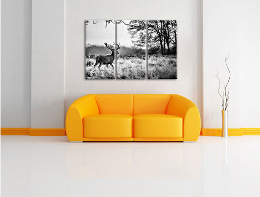 Pixxprint Deer in Sunset Canvas Print 3 Piece, Overall size: 120x80cm, Wall Art, Decoration, Ready to Hang, Not a Poster