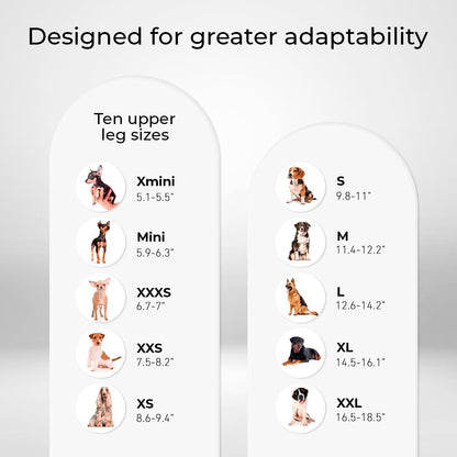 Ortocanis - Carpal Joint Brace for Dogs - Arthritis, ligament and tendon injuries or agility dogs - Made of neoprene material - Size XXS 5-8 cm.