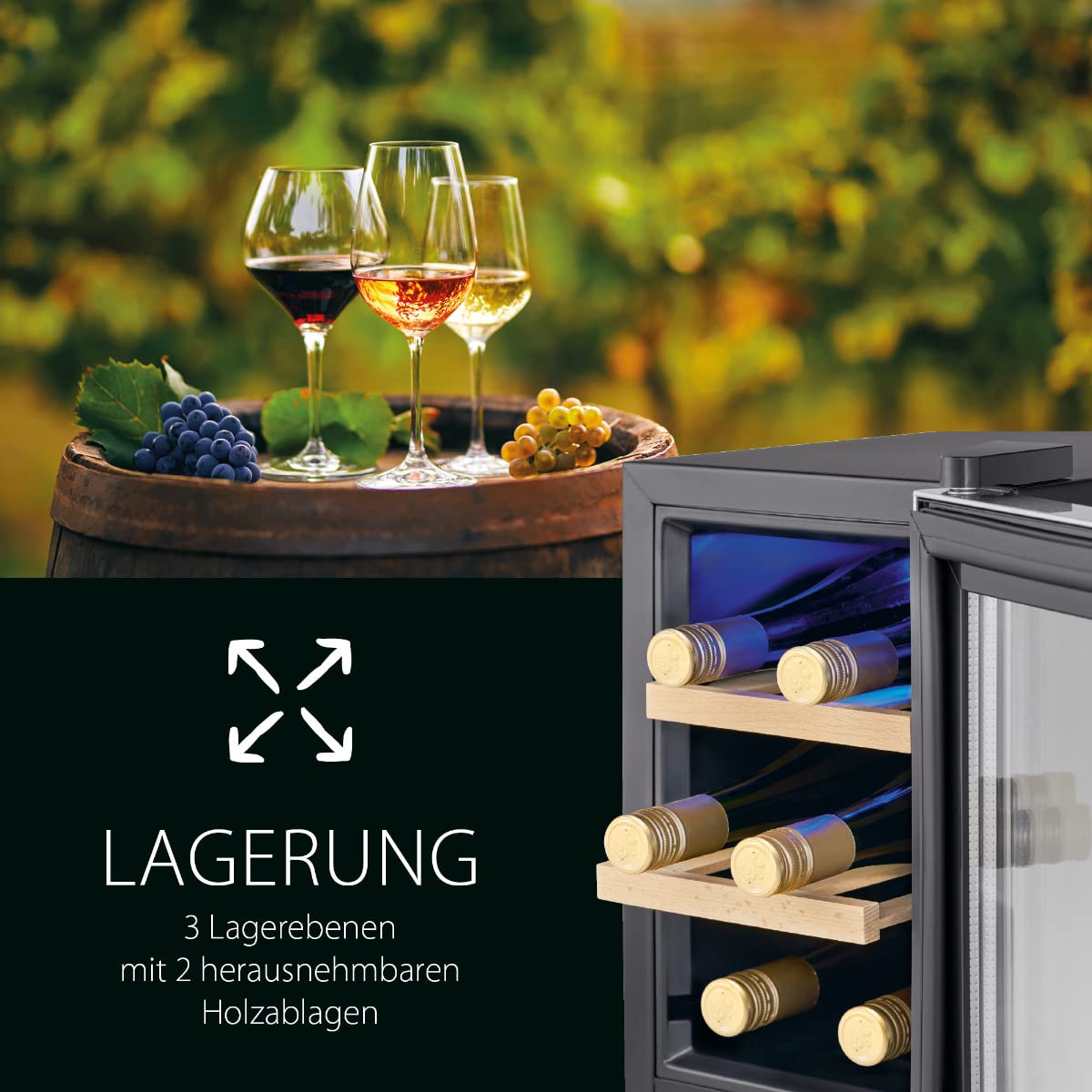 ProfiCook wine cooler | 6 bottles | beverage cooler | UV-resistant glass door | wine cooler | LED lighting | 3 storage levels - 2 of which are removable | 11-18°C | PC-WK 1231
