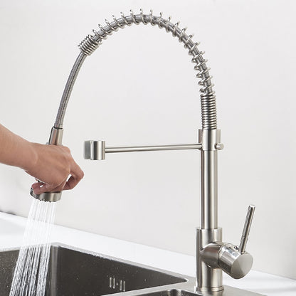 Aimadi kitchen faucet mixer tap kitchen faucet spiral spring faucet kitchen sink dish rinse sink faucet single lever mixer pull-out brushed nickel.