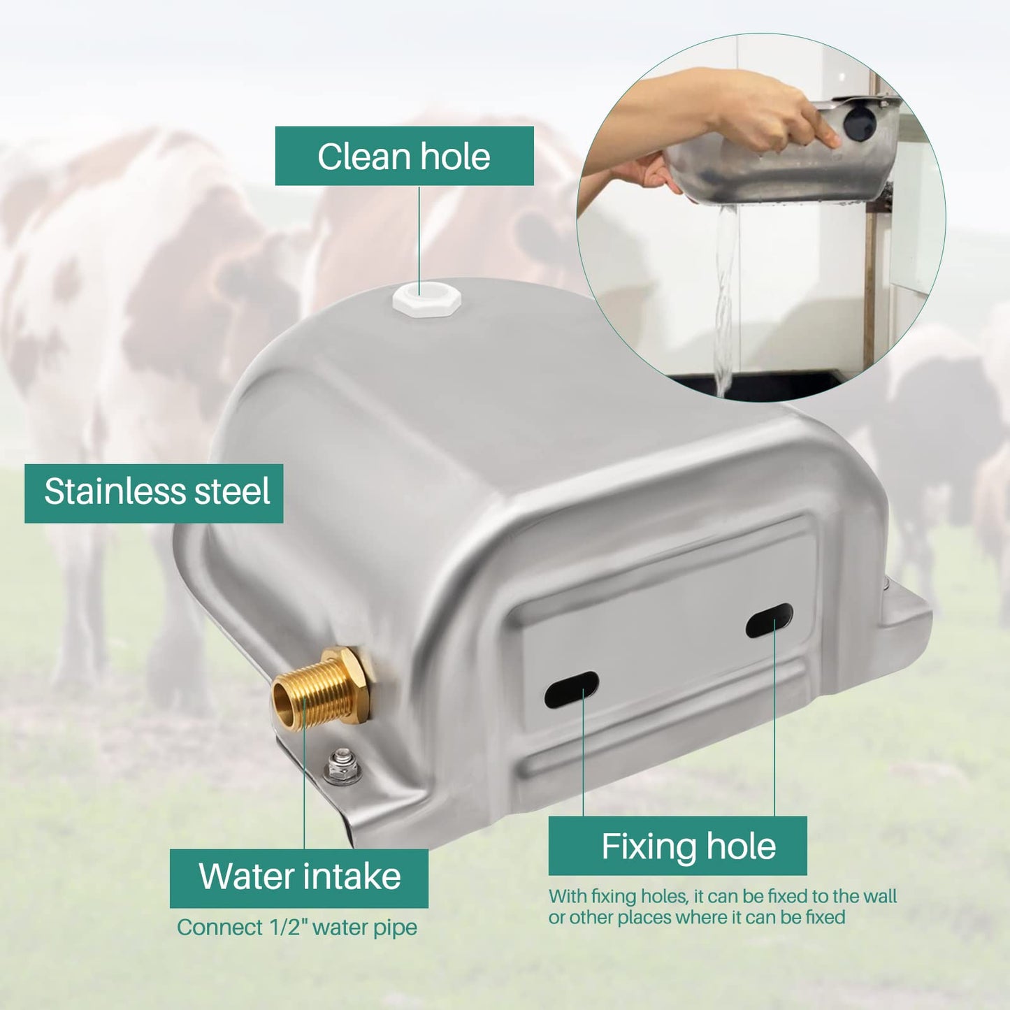 Automatic drinker basin made of stainless steel with 1/2 inch adjustable brass float valve and drainage holes for horses, cows, pigs, goats, sheep, and dog drinkers.