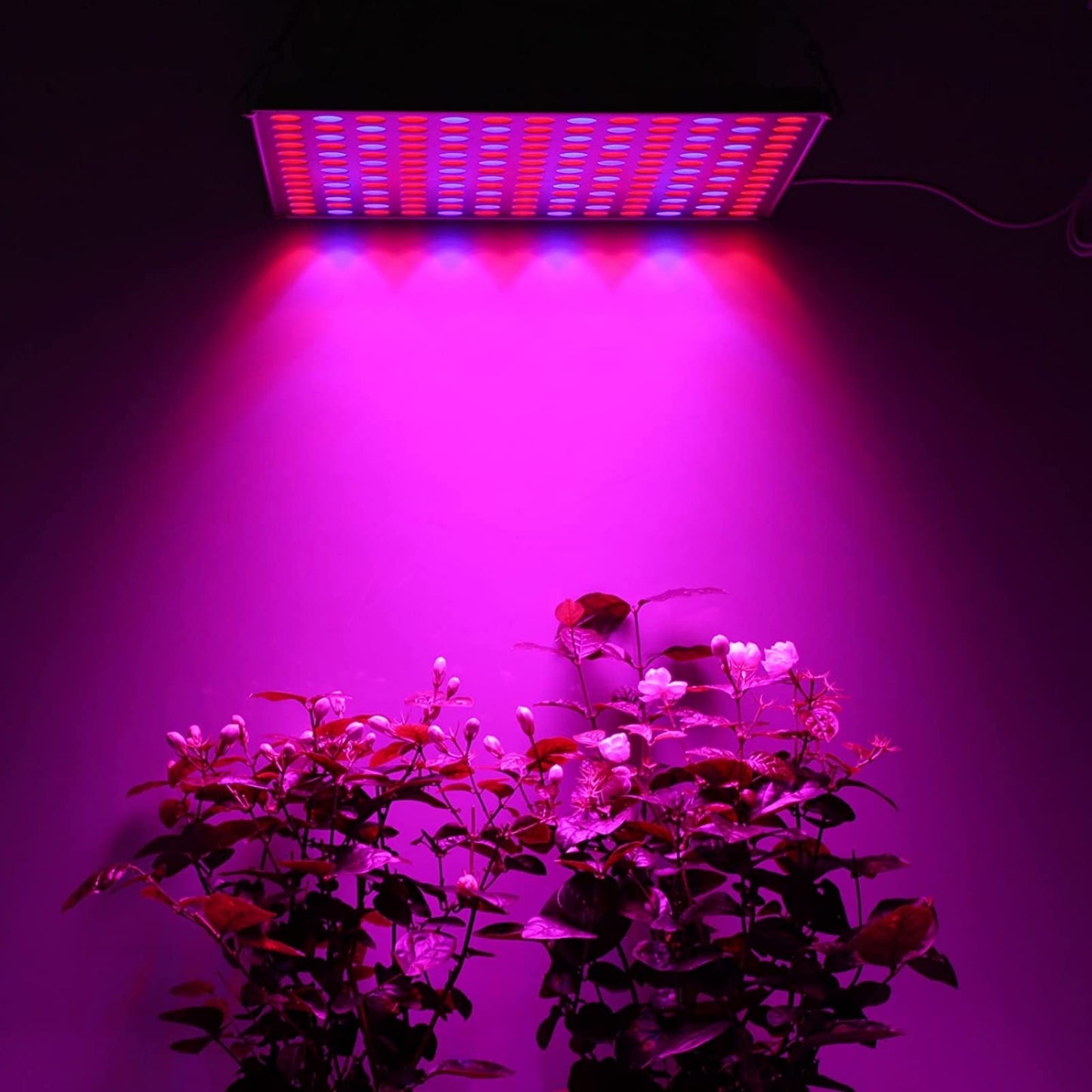 Roleadro LED plant lamp 2 pieces plant light with red blue light 45W grow light LED grow lamp for fruit growth flowers vegetables plant growth lamp