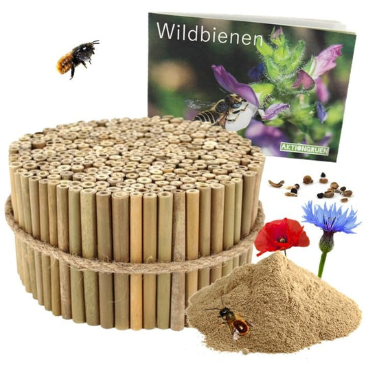 action green MEGAPACK Bamboo tubes Insect hotel Craft supplies approx. 300 nesting tubes 10cm + 300g clay powder & more! for wild bees & solitary wasps