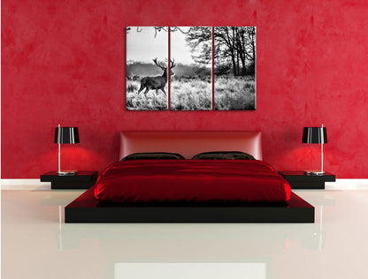 Pixxprint Deer in Sunset Canvas Print 3 Piece, Overall size: 120x80cm, Wall Art, Decoration, Ready to Hang, Not a Poster