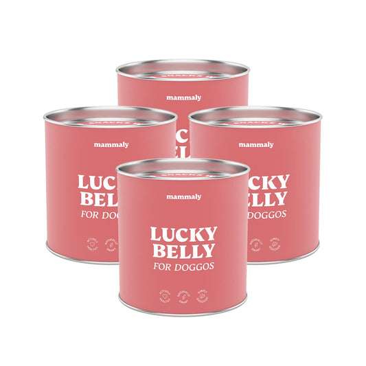 9-in-1 Probiotics for Your Dog - Lucky Belly 440 Drops (1.3kg) by mammaly - For stomach and digestive issues for gastrointestinal health, digestive snacks for grass eating and stool-eating treats with chicken.