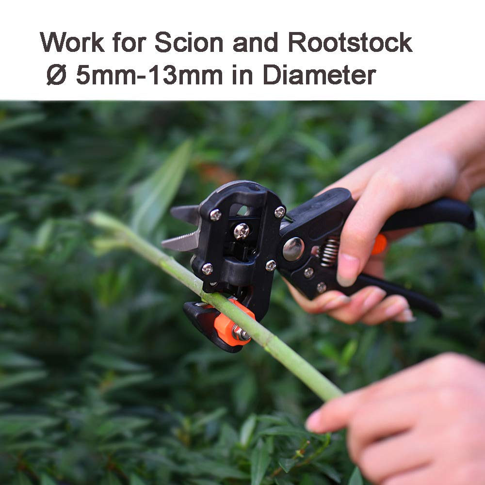 Yolando Fruit Tree Grafting Shears, 2-in-1 Professional Garden Fruit Tree Grafting Shear Ratchet Shear Set, Single-handed Grafting Cutting Tool for Flowers Tree Plant Branches, Garden Grafting Tool