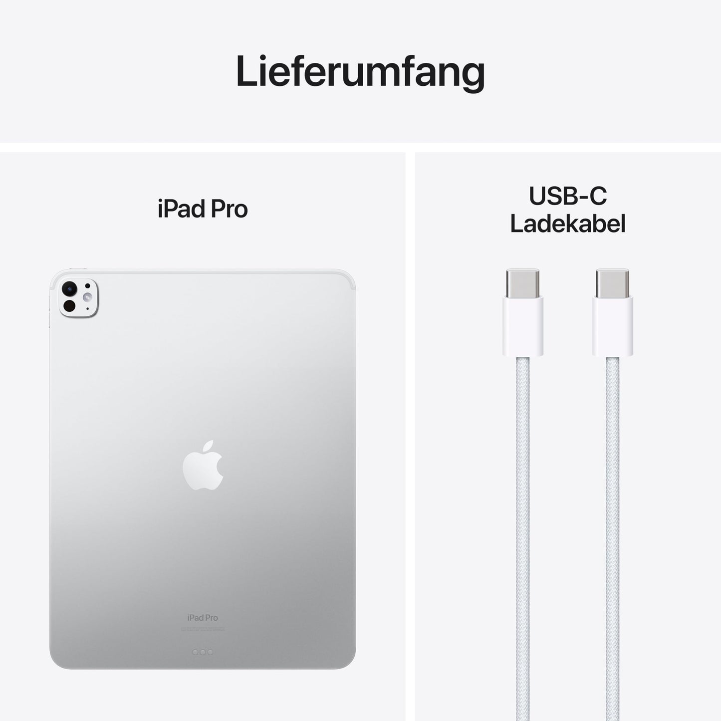 Apple 13" iPad Pro (M4): Ultra Retina XDR Display, 256GB, 12MP front camera/12MP rear camera, LiDAR scanner, WiFi 6E, Face ID, all-day battery, silver standard glass.