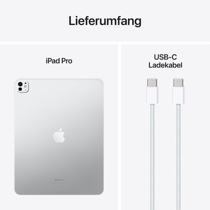 Apple 13" iPad Pro (M4): Ultra Retina XDR Display, 256GB, 12MP front camera/12MP rear camera, LiDAR scanner, WiFi 6E, Face ID, all-day battery, silver standard glass.