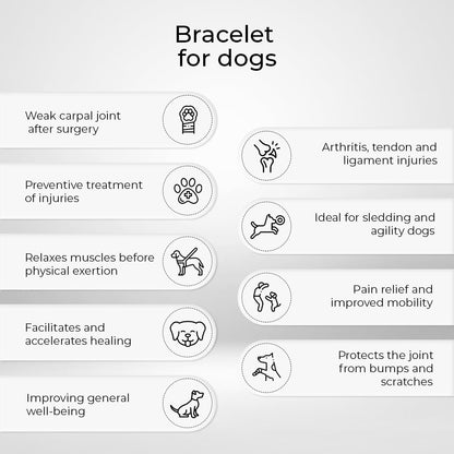 Ortocanis - Carpal Joint Brace for Dogs - Arthritis, ligament and tendon injuries or agility dogs - Made of Neoprene - Size M 14-16 cm