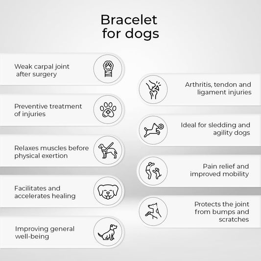 Ortocanis - Carpal Joint Brace for Dogs - Arthritis, ligament and tendon injuries or agility dogs - Made of Neoprene - Size M 14-16 cm