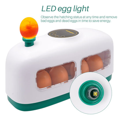 8 Eggs Incubator Chicken Hatcher Machine for Poultry Eggs, Small Train-shaped Egg Incubator with LED Light, Digital Temperature Control Hatching Machine for Hatching Birds, Quails, and Pigeons (White)
