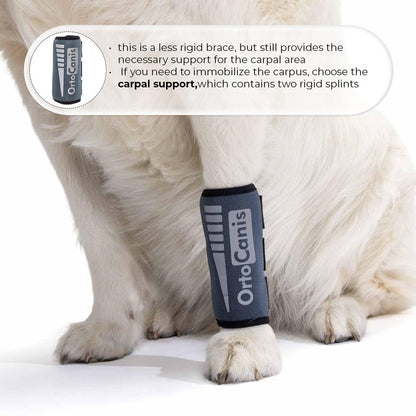 Ortocanis - Carpal Joint Brace for Dogs - Arthritis, ligament and tendon injuries or agility dogs - Made of Neoprene - Size M 14-16 cm