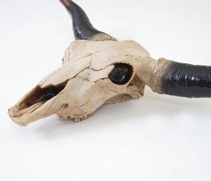Mendler Decor Skull 75cm HWC-A14, Polyresin Bull Longhorn Head Trophy, Indoor/Outdoor Natural