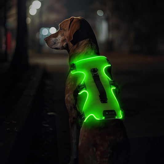 Jewyow Dog Harness Glowing, Rechargeable LED Dog Harness, LED Harness for Dogs with Soft Handle, 3 Adjustable Modes, Waterproof for Medium, Large Dogs, Green-XL