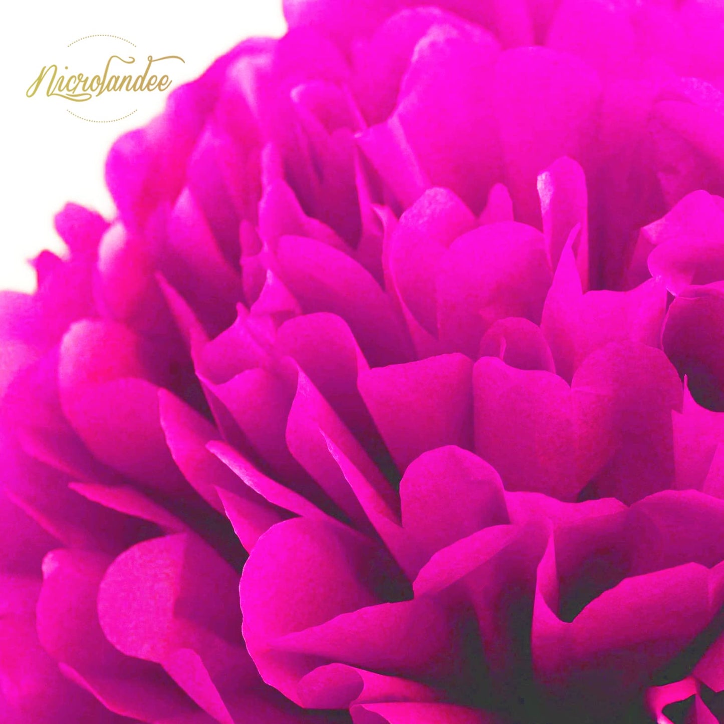 NICROLANDEE Neon Tissue Paper Pom Poms and Dots Paper Garland, Blacklight Party Decorations 15 Pieces, Party Decor for Wedding, Prom, Birthday, Garden Party.