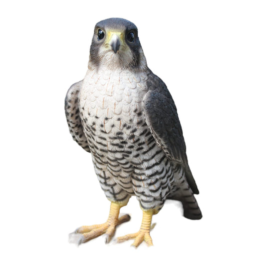 Vivid Arts XRL-PFAL-B Peregrine Falcon, resin garden decoration