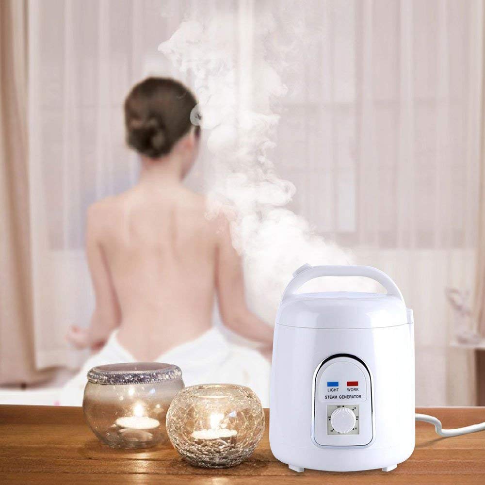 Sauna steamer steam generator steam sauna steam machine skin care 220V 1.8L home portable (220V)