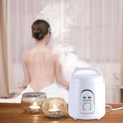 Sauna steamer steam generator steam sauna steam machine skin care 220V 1.8L home portable (220V)