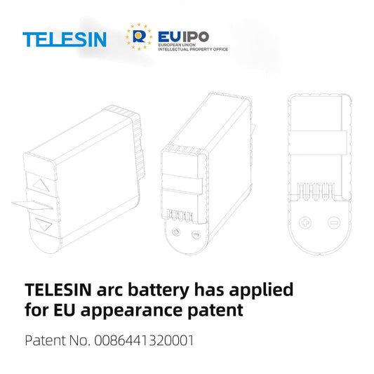 TELESIN charger with 2 batteries kit for GoPro Hero 8/7/6/5, Triple Battery Charger Set Charging Case + 2 batteries with USB Type-C Cable 3 in 1 accessory kit for GoPro Hero 8 Hero 7 Hero 6 Hero 5 Black