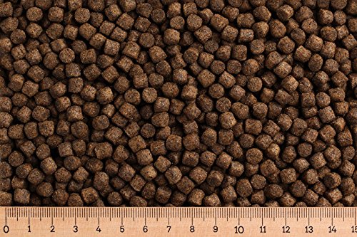 (Base price 2.09 Euro/kg) - 30 kg of trout feed Primo 6.0 mm - 37/12 - floating - trout pellets