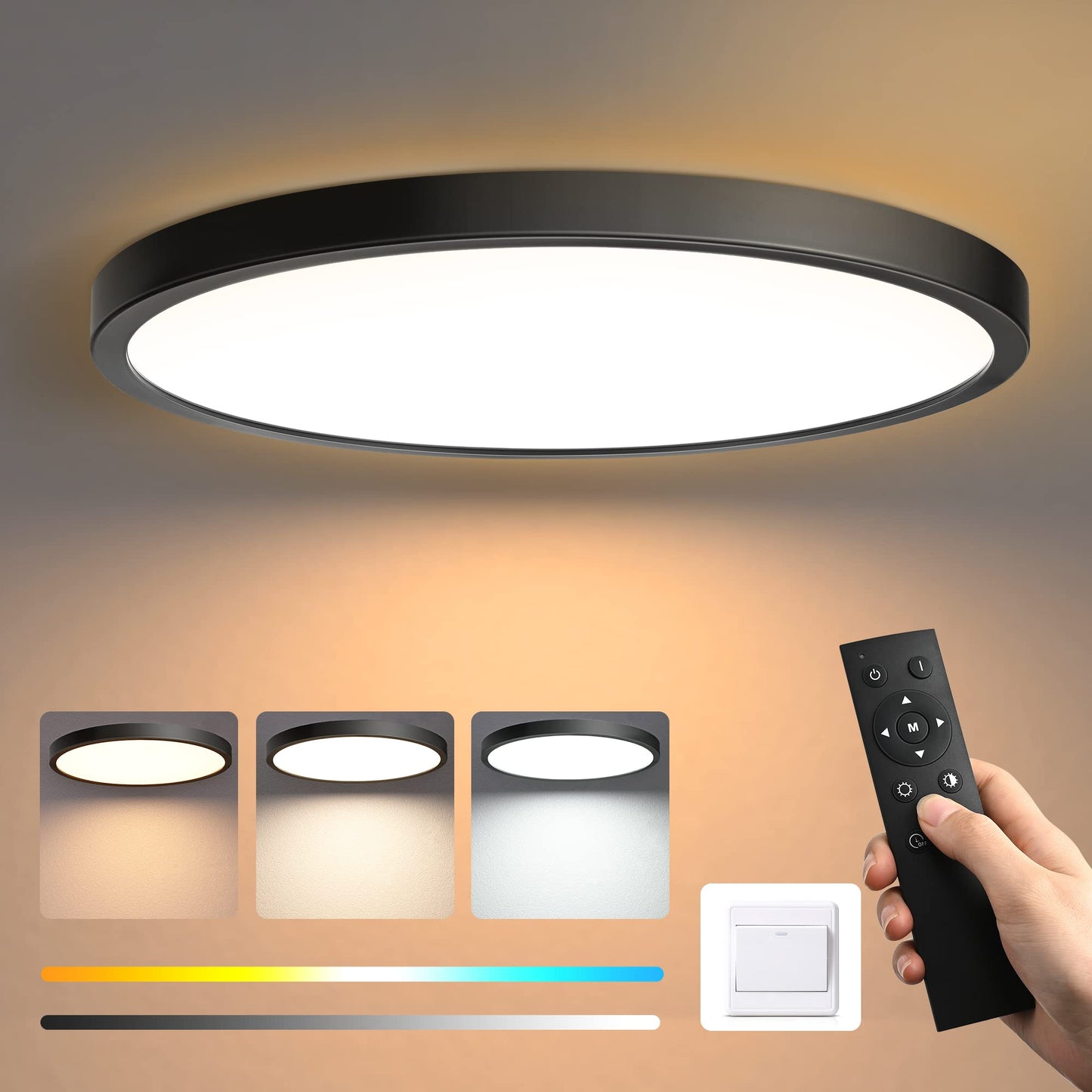 EDISHINE LED Ceiling Light Dimmable 28W, 2520lm Black Flush Mount Ceiling Lamp with Remote Control, 3000K/4000K/6000K, Modern Simple Thin Kitchen Light for Bathroom/Bedroom/Basement/Balcony Ø30cm