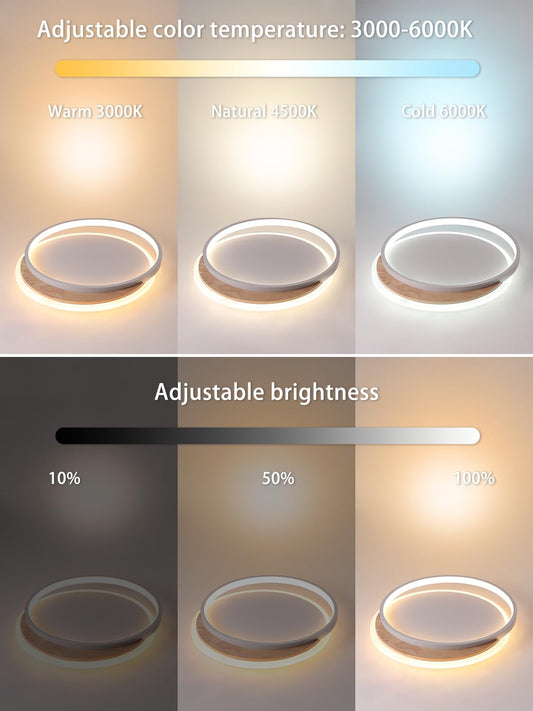 FANLG Ceiling Light Bedroom, 40cm LED Ceiling Light Dimmable 3000K-6000K Lamp Living Room 24W Modern LED Ceiling Light for Bedroom Living Room Balcony Kitchen Hallway Children's Room