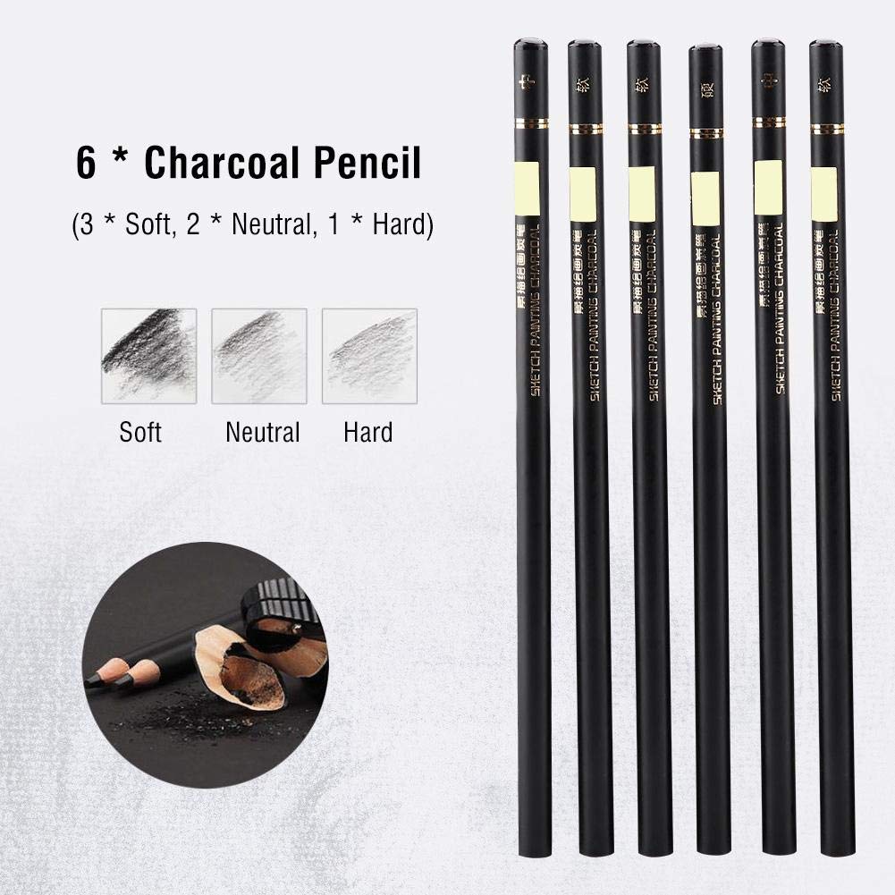 Hztyyier 29Pcs Drawing Set Professional, Sketching Pencils Set, Drawing Pencils, Sketching Set with a Storage Case for Beginner Artists