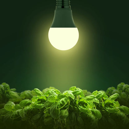 Briignite The light bulb is shining. A plant lamp Plant lamp Full spectrum growth lamp E27 base 12W growth lamp, growth light for indoor plants