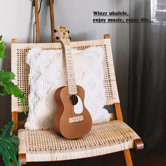 Winzz Ukulele Adult Beginner Set, Concert Ukulele 23 Inch, Kids Starter Kit with 9 Accessories (Color: Brown, Wood)
