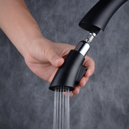 Beelee pull-out kitchen faucet with spray, single handle sink faucet, black paint, BL1749B.
