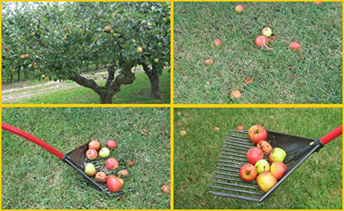 Golden Gark, (3-in-1 rake, shovel, leaf blower, multifunctional & ergonomic gardening tool