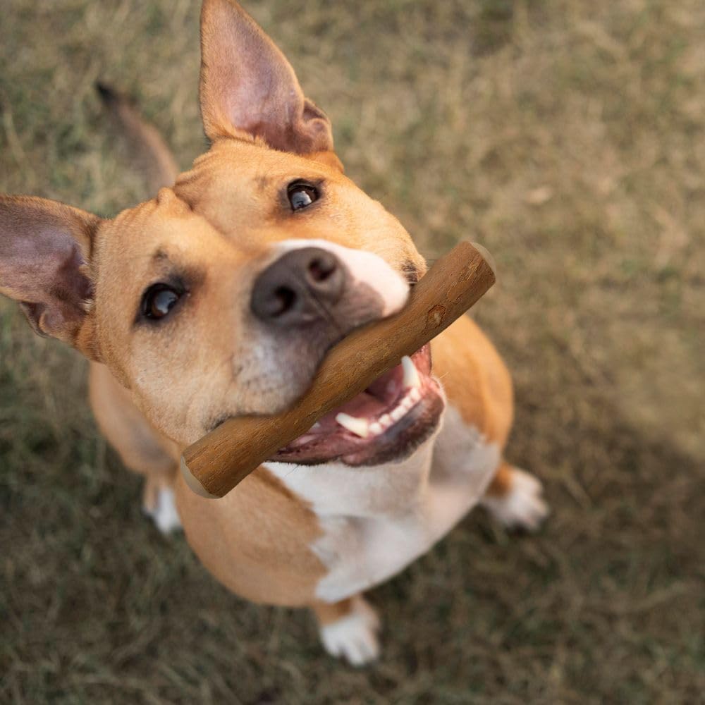 Wildfang® Coffee Wood for Dogs - natural, indestructible chew toy made from coffee wood for aggressive chewers & teething puppies, dental care dog toy, size M (15-25 kg), pack of 3