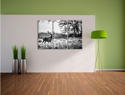 Pixxprint Deer in Sunset Canvas Print 3 Piece, Overall size: 120x80cm, Wall Art, Decoration, Ready to Hang, Not a Poster