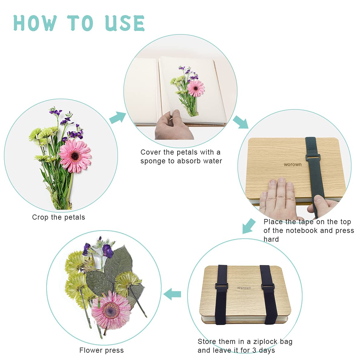 Worown Flower Press Set Pro (16x21cm) • 6 layers flower press made of natural wood • With instructions & gift box • For DIY crafting (Brown)
