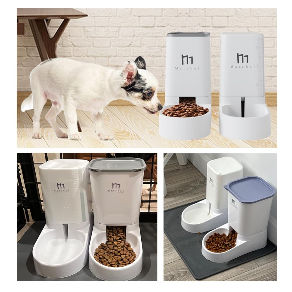 Automatic cat feeder, 2.1kg cat food dispenser and 3.8L dog water dispenser, no electricity needed, travel feeder for cats and water dispenser (food dispenser & feeding mats)