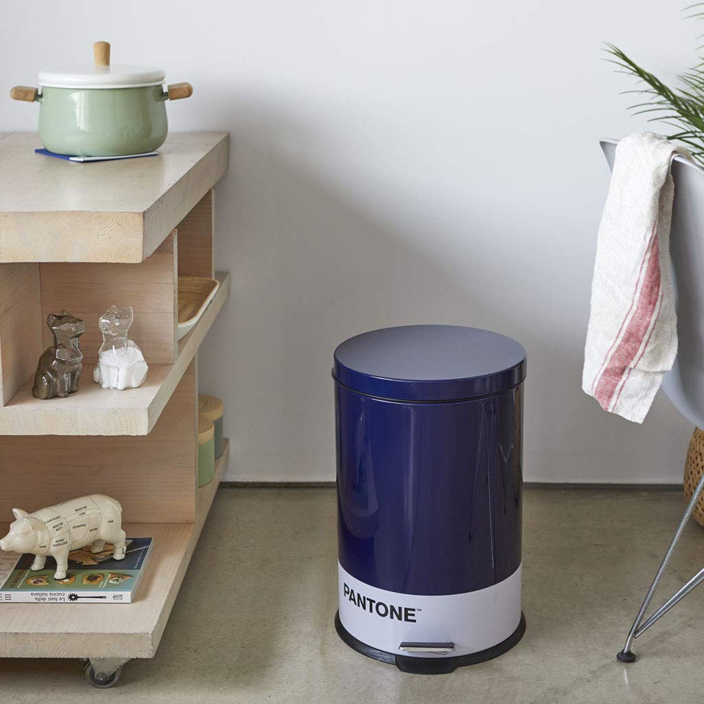 Balvi Trash Can Blue Color 20L Bucket Capacity for kitchen, bedroom, or office with pedal. Beautiful and functional.