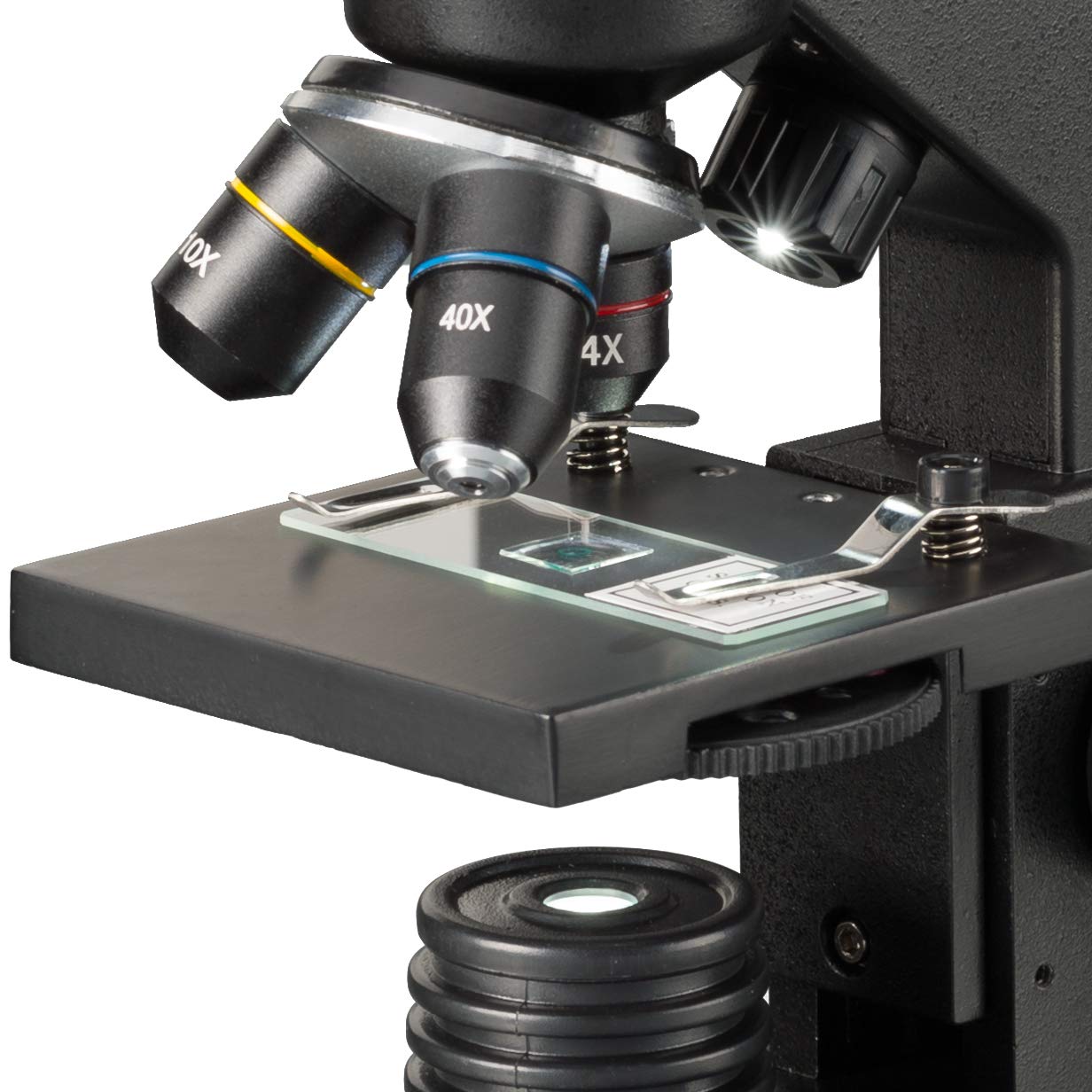 National Geographic 40-1280x microscope with incident/transmitted light illumination, smartphone holder, and extensive accessories for beginners in microscopy, black