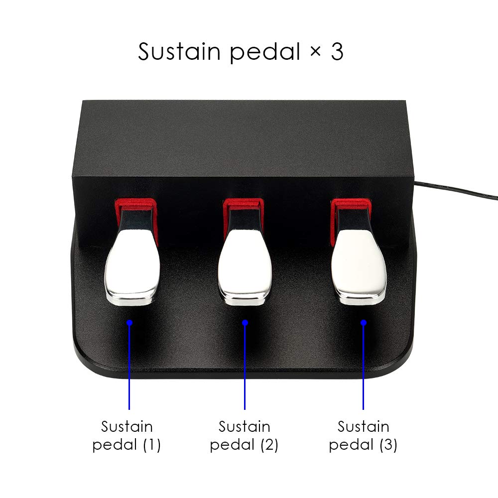ATNEDCVH Piano 3 Sustain Pedal, Triple Damper Pedal, 6.35mm 1/4 inch plug, universal for electronic keyboards and digital pianos, electric piano, MIDI keyboards, synthesizers (black)