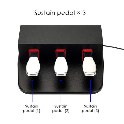 ATNEDCVH Piano 3 Sustain Pedal, Triple Damper Pedal, 6.35mm 1/4 inch plug, universal for electronic keyboards and digital pianos, electric piano, MIDI keyboards, synthesizers (black)