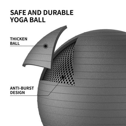 PROIRON Gym Ball Pezziball Exercise Ball Training Ball Fitness Ball & Balance for Core Training with Pump Anti Burst Pilates Ball Durable for Adults Office Pezziballs Gym Balls