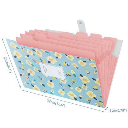 KONVINIT document folder for A4 documents, expandable with organized compartments and labels. Ideal for school, home, work, or office. Set of 2.
