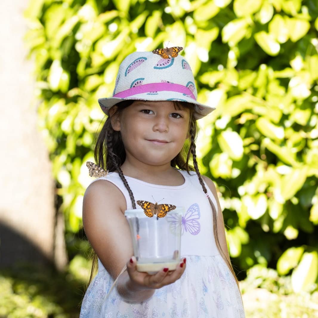 Butterfly breeding kit for kids | Approx. 14 caterpillars + large habitat (40x40x60 cm) | FREE E-Book + educational materials | Breed caterpillars at home from age 3 | Raise native Painted Lady butterflies