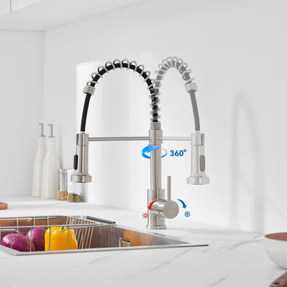Auralum Kitchen Faucet, Kitchen Tap with Pull-Out Sprayer, Kitchen Mixer Tap with 2 Spray Modes, Stainless Steel Sink Faucet, 360° Swivel High Pressure Faucet for Kitchen.